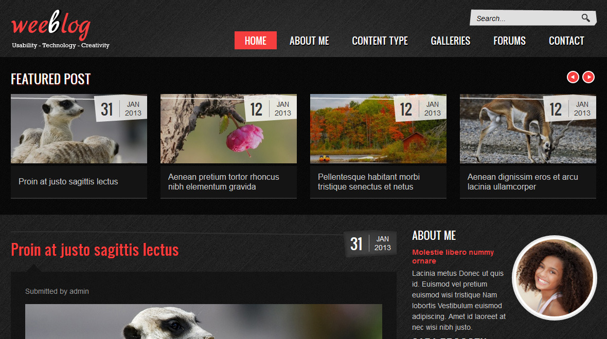 Drupal Personal Blog